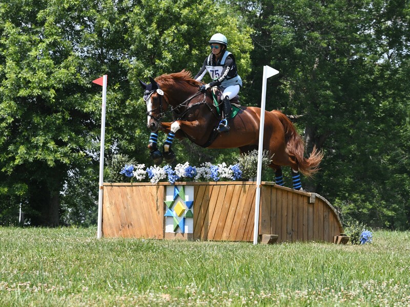 Eventing rider clearing a log jump