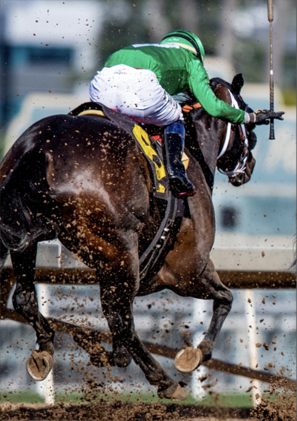 A jockey on a racehorse, crop raised, dirt flying