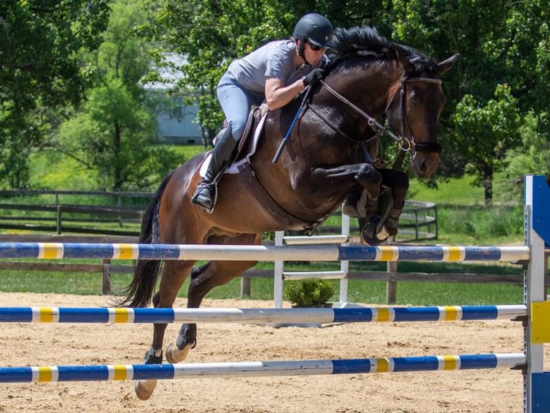Show jumper over a rail